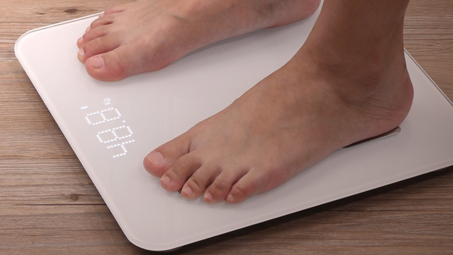 1byone Bluetooth Scale | $26